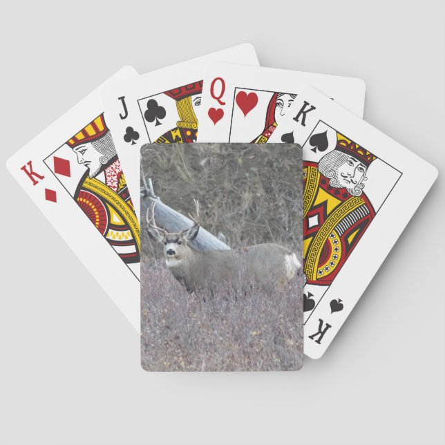 D32 Maultierhirschbock Spielkarten (Rückseite)