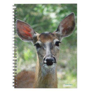 D33 Weißschwanz Notizblock