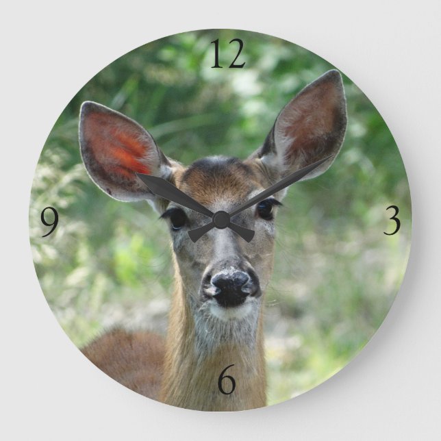 D33 Weißwedelhirsch Weibchen Große Wanduhr (Vorderseite)