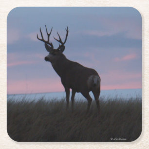 D3 Maultierhirsch Bock Sunrise Buck Rechteckiger Pappuntersetzer