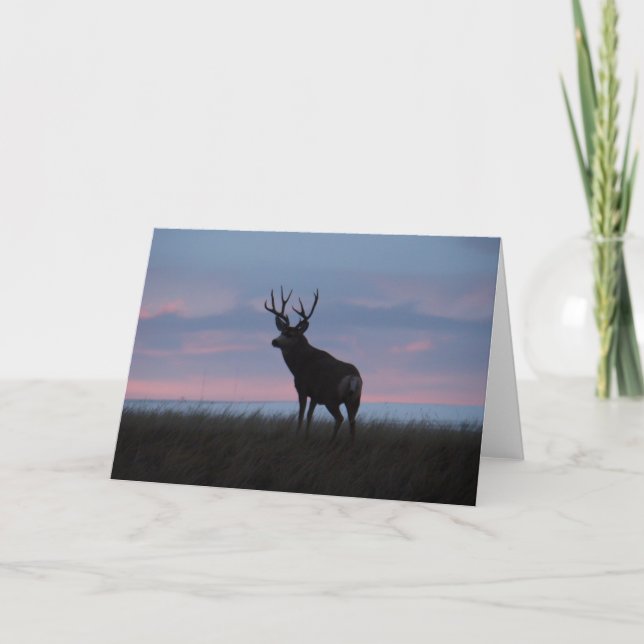 D3 Mule Deer Buck Sunrise Buck Karte (Vorderseite)