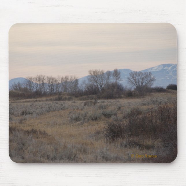 D4 Mule Deer Buck and Sweet Grass Hills Mousepad (Vorne)