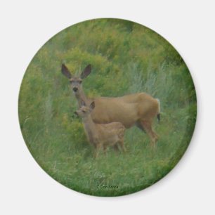 D5 Maultierhirsch Weibchen und Jungtier Magnet