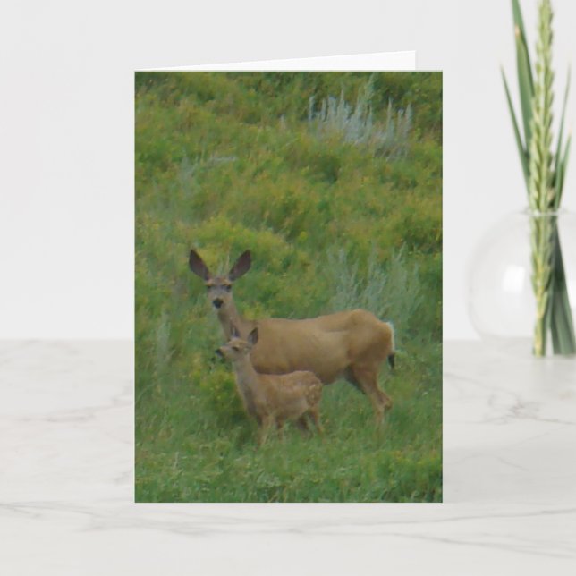 D5 Mule Deer Doe and Fawn Karte (Vorderseite)