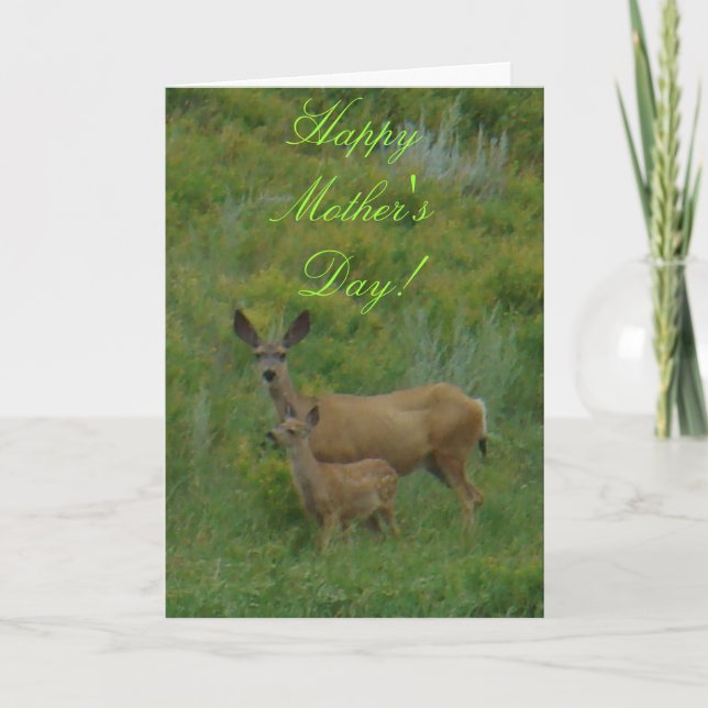 D5 Mule Deer Doe and Fawn Karte (Vorderseite)