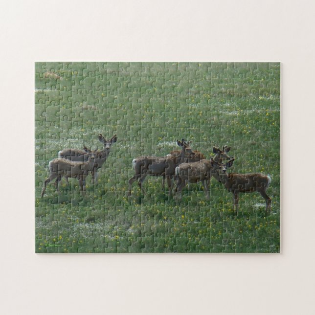 D7 Mule Dee Spring Bucks Puzzle (Horizontal)