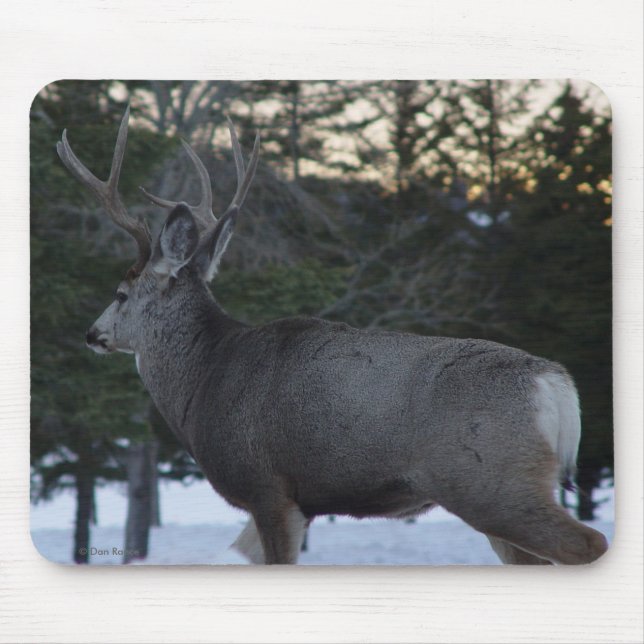D8 Maultierhirsch Bock Mousepad (Vorne)