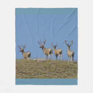 D9 Mule Deer Bucks in Velvet Sky Lined Fleecedecke
