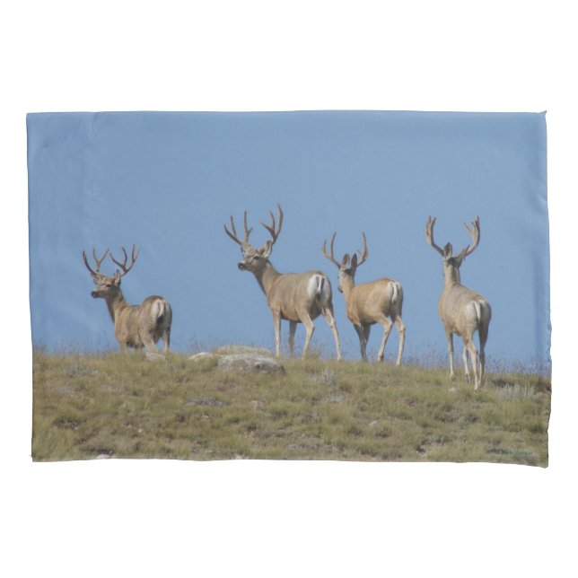 D9 Mule Deer Bucks in Velvet Sky Lined Kissenbezug (Vorderseite)