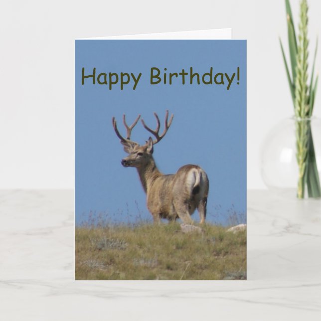 D9a Mule Deer Buck in Velvet Karte (Vorderseite)