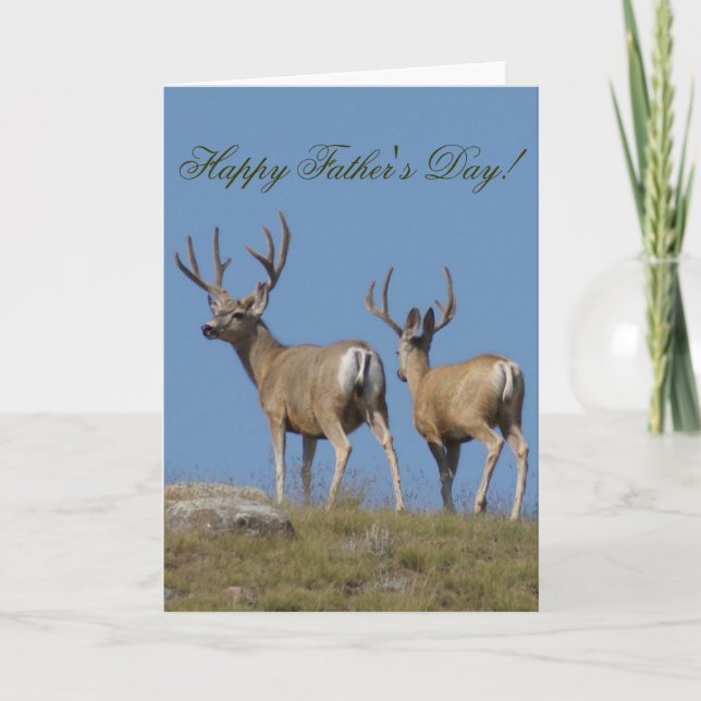 D9b Mule Deer Bucks in Velvet Karte (Vorderseite)