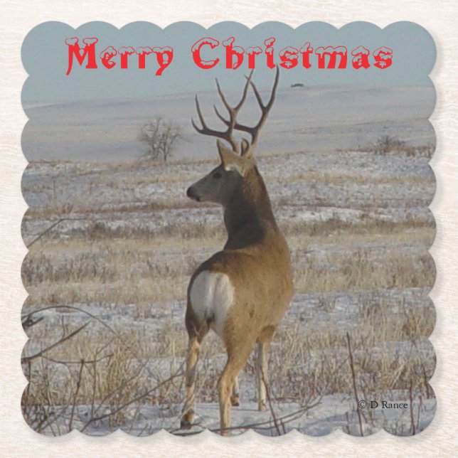 D 20 Maultierhirsch im Schnee Coaster Untersetzer (Vorderseite)