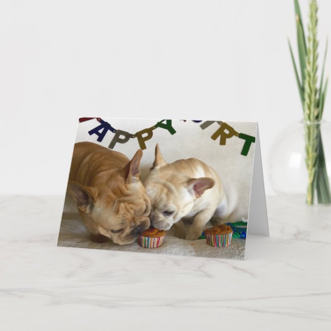 D & D Geburtskarte Karte (Vorderseite)