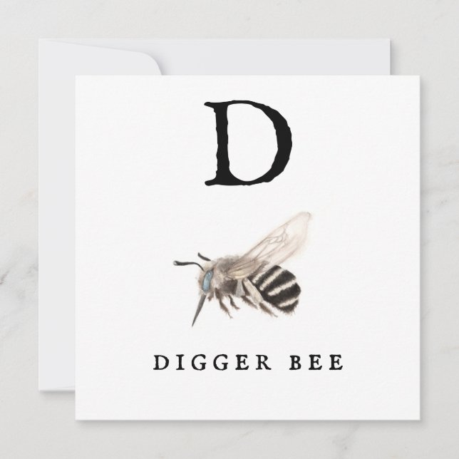 "D" Digger Bee (Vorderseite)
