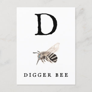 "D" Digger Bee Postkarte