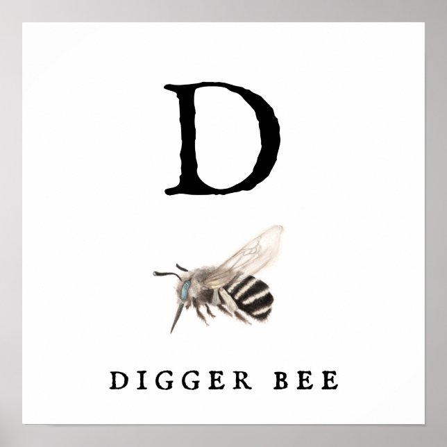"D" Digger Bee Value Poster Paper (Matte) (Vorne)