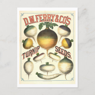 D. M. Ferry & Co. Vintage Schilfpflanzenwerbung Postkarte