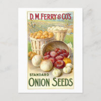 D. M. Ferry & Co. Vintage Zwiebelpflanzwerbung