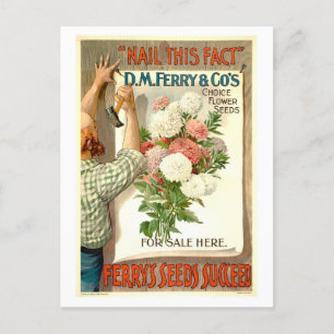 D.M. Ferry Vintage-Blumen-Samenwerbung Postkarte