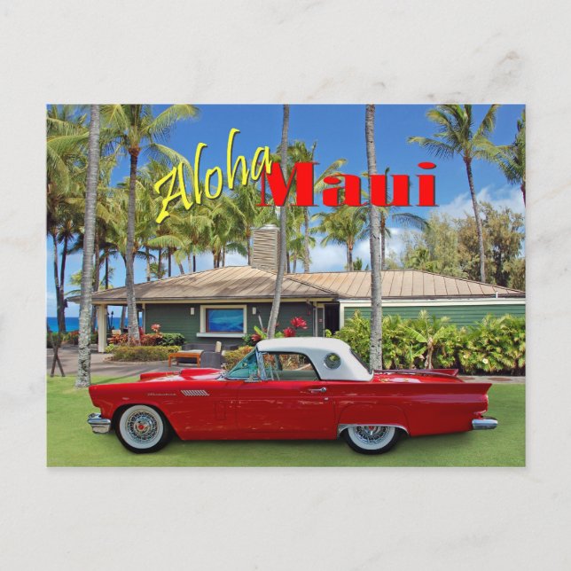 D.T. Fleming Beach Park Postkarte (Vorderseite)