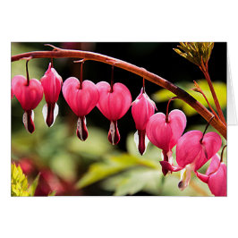 Da draußen hängende Herzen