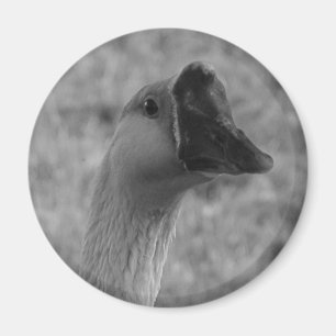 DA-Gans Magnet