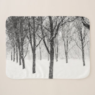 da ich mich auf die Seite der Bäume stelle Sherpadecke
