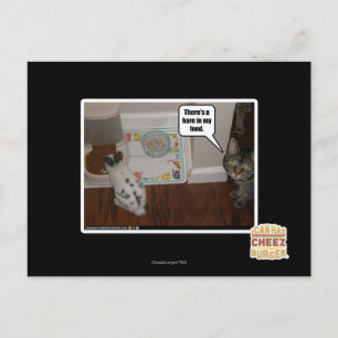 Da ist ein Hase in meinem Essen. Postkarte