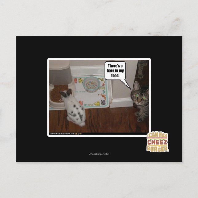Da ist ein Hase in meinem Essen. Postkarte (Vorderseite)