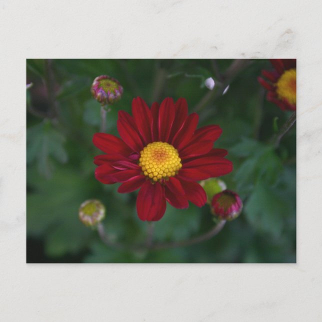 Da ist eine Mutter in der Luft.. Postkarte (Vorderseite)