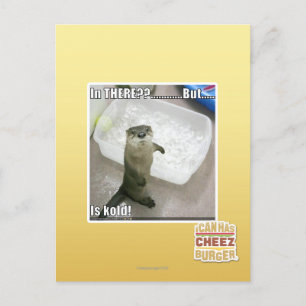 Da? Ist kalt! Postkarte