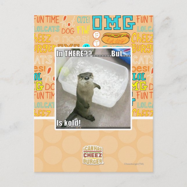 Da? Ist kalt! Postkarte (Vorderseite)