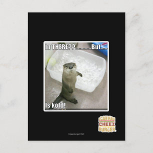 Da? Ist kalt! Postkarte