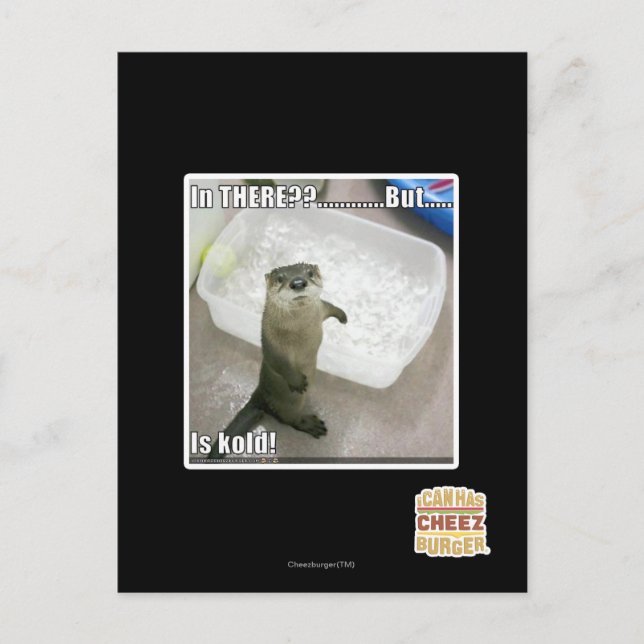 Da? Ist kalt! Postkarte (Vorderseite)