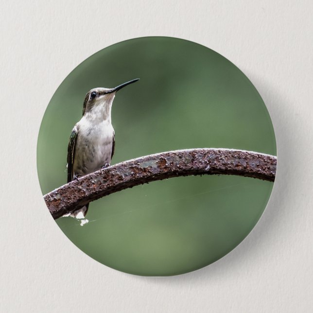Da Little Hummingbird Button (Vorderseite)