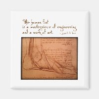 da Vinci: "Der menschliche Fuß ist..."