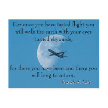 Da Vinci Flying Gedicht 🚁 ✨ Budget Special