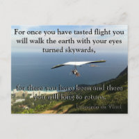 Da Vinci Flying Gedicht 🚁 ✨ Budget Special