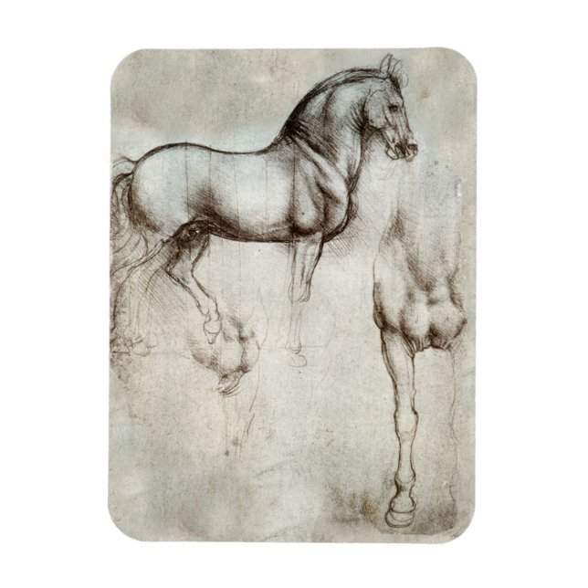 Da Vinci Horse Magnet (Vertikal)