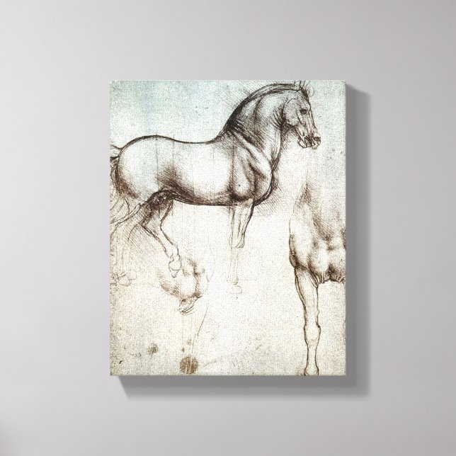 Da Vinci Horse Study Renaissance Sketch Kunst, Dic Leinwanddruck (Vorderseite)