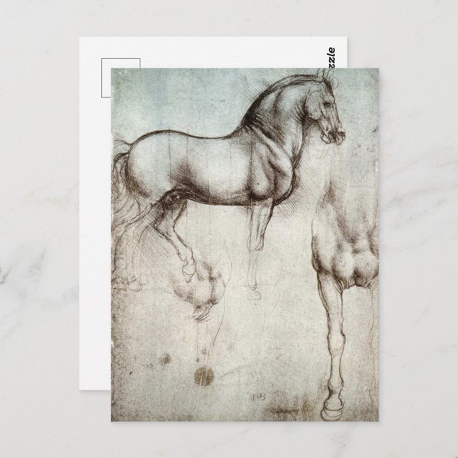 Da Vinci Horse Study Renaissance Sketch Kunst, Dic Postkarte (Vorne/Hinten)