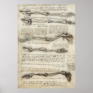 Da Vinci, Leonardo - Anatomie-Studie Poster