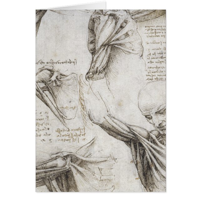 Da Vinci, LEONARDO - Studie der Anatomie (Vorne)