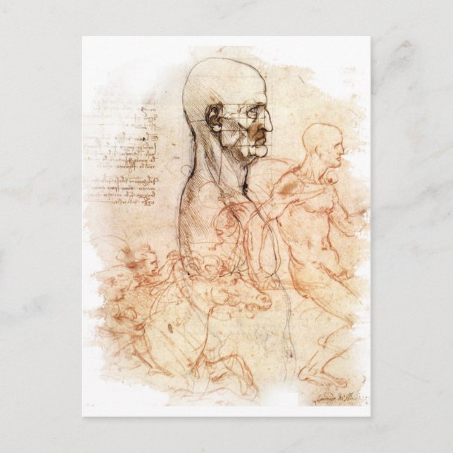 da Vinci — Mensch-Pferd-Sketch Postkarte (Vorderseite)