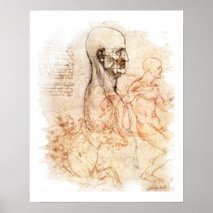 da Vinci - Mensch und Pferd Poster