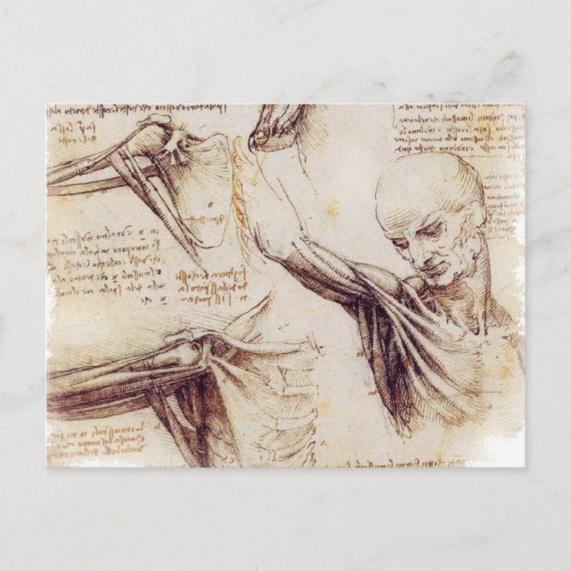da Vinci -- Schulter-Skizze Postkarte (Vorderseite)