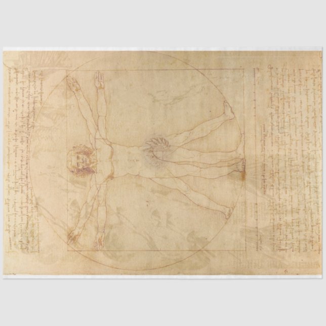 Da Vinci Vitruvian Man Decoupage Seidenpapier (Vorderseite)