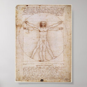 Da Vinci: Vitruvian Man Poster