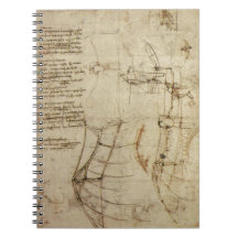 Da Vincis Fliegen-Neuerfindung