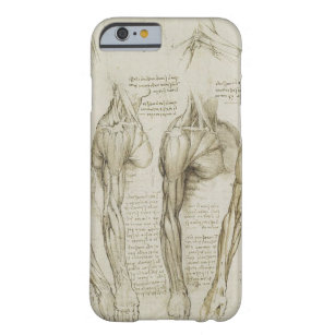 Da Vincis menschliche Arm-Anatomie-Skizzen Barely There iPhone 6 Hülle